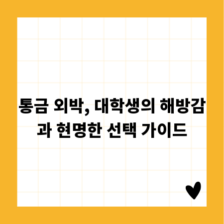 통금 외박, 대학생의 해방감과 현명한 선택 가이드