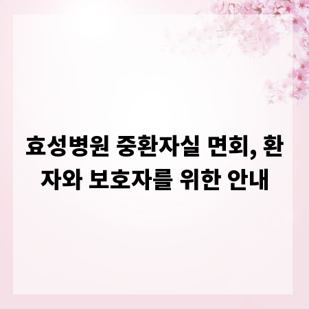 효성병원 중환자실 면회, 환자와 보호자를 위한 안내