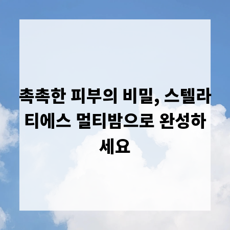 촉촉한 피부의 비밀, 스텔라티에스 멀티밤으로 완성하세요