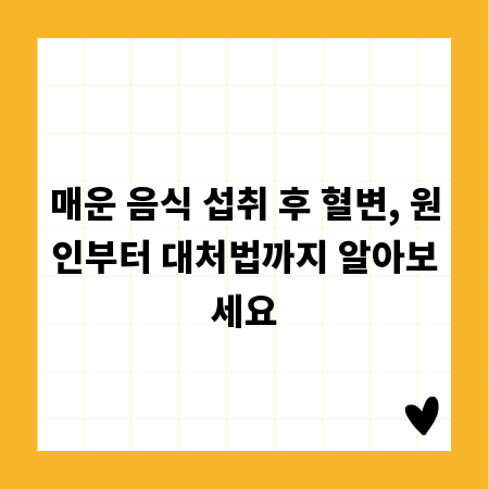 매운 음식 섭취 후 혈변, 원인부터 대처법까지 알아보세요