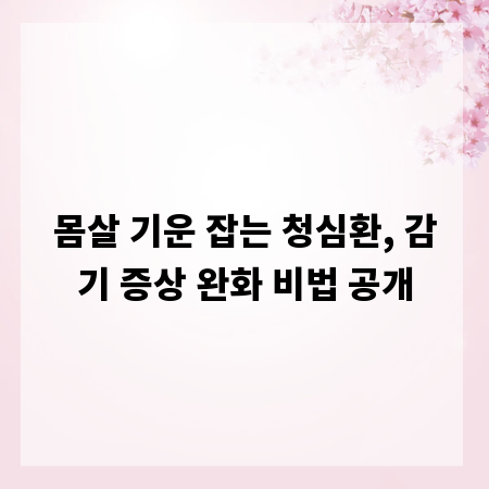 몸살 기운 잡는 청심환, 감기 증상 완화 비법 공개