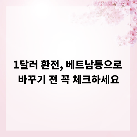 1달러 환전, 베트남동으로 바꾸기 전 꼭 체크하세요
