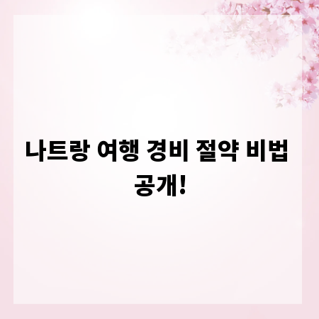 나트랑 여행 경비 절약 비법 공개!