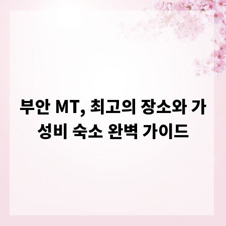 부안 MT, 최고의 장소와 가성비 숙소 완벽 가이드