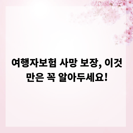여행자보험 사망 보장, 이것만은 꼭 알아두세요!