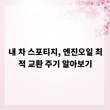 내 차 스포티지, 엔진오일 최적 교환 주기 알아보기