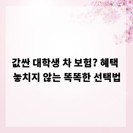 값싼 대학생 차 보험? 혜택 놓치지 않는 똑똑한 선택법