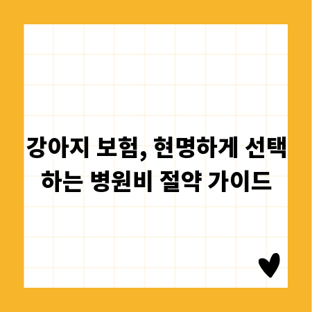 강아지 보험, 현명하게 선택하는 병원비 절약 가이드