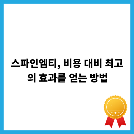 스파인엠티, 비용 대비 최고의 효과를 얻는 방법