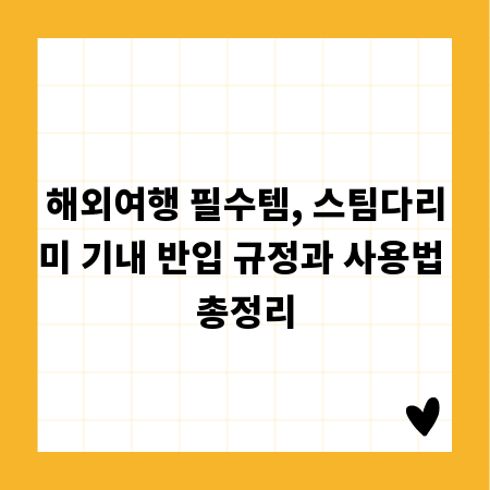 해외여행 필수템, 스팀다리미 기내 반입 규정과 사용법 총정리