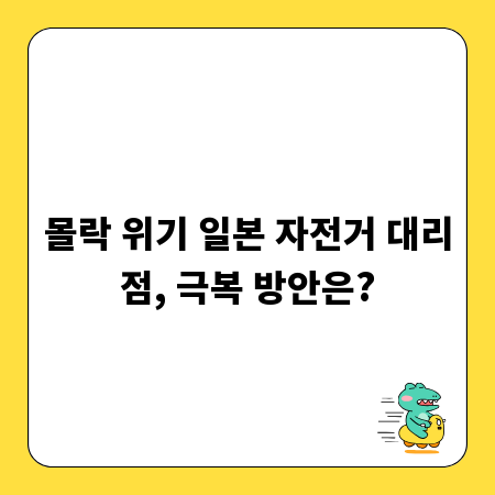 몰락 위기 일본 자전거 대리점, 극복 방안은?