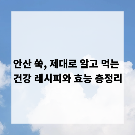 안산 쑥, 제대로 알고 먹는 건강 레시피와 효능 총정리