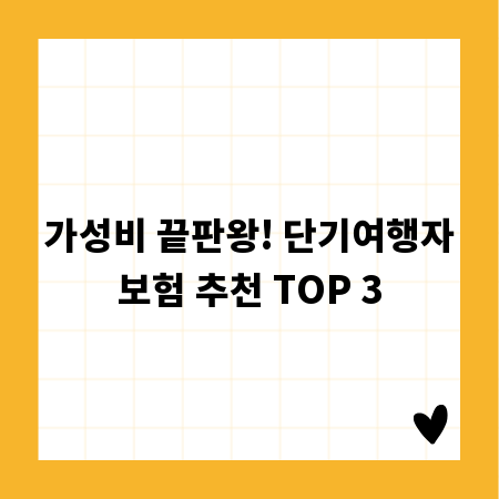 가성비 끝판왕! 단기여행자보험 추천 TOP 3