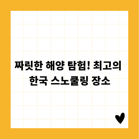 짜릿한 해양 탐험! 최고의 한국 스노쿨링 장소